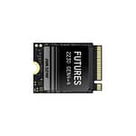 HS-SSD-FUTURES-1024G_wr_2