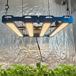 P55-240W-281B-UV-IR_wr_01a