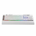 RD-K512W-RGB-1_wr_01