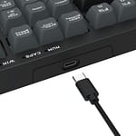 RD-K518-RGB-GB_wr_01